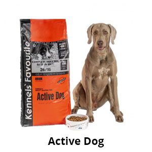 Active Dog